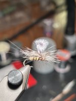 IMG_9325.jpeg