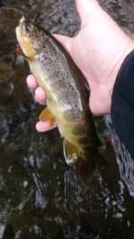 20181005_110619.jpg