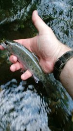 20180711_120641.jpg