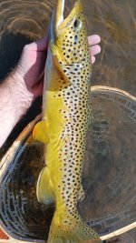 20241003_121606.jpg
