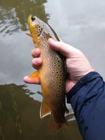 IMG_20230703_140640229.jpg