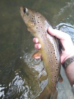 IMG_20220610_133909.jpg