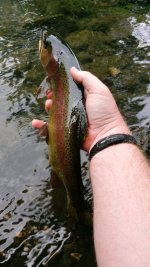 20190707_100145.jpg