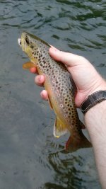20190818_074348_Burst02.jpg