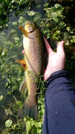 20200821_164223.jpg
