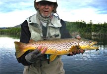 Unusual Brown.jpg