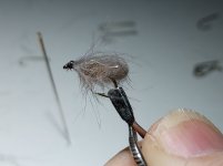 20250121_135844.jpg