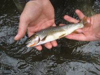 IMG_1772.JPG