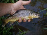 IMG_0777.jpeg