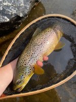 IMG_2801.jpeg