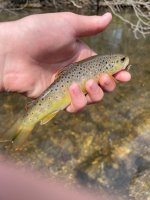 IMG_2808.jpeg