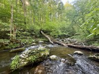 IMG_1250.jpg