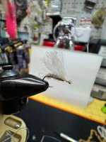 IMG_1781.jpeg