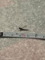 IMG_1693.jpeg