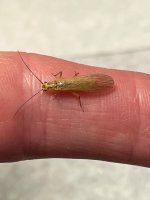 IMG_1680.jpeg