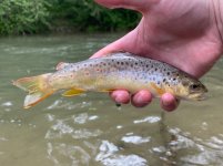 IMG_6554.jpeg IMG_6554.jpeg
