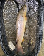 IMG_6614.jpeg IMG_6614.jpeg