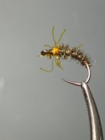 IMG_5889.jpeg