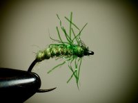 IMG_7967.jpeg