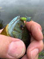 IMG_0137.jpeg