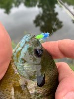 IMG_0140.jpeg