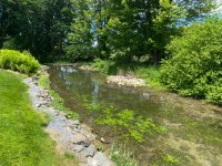 IMG_6919.jpeg