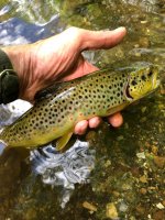 IMG_5855.JPEG