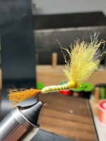 IMG_2408.jpg