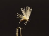 wet fly1.jpg