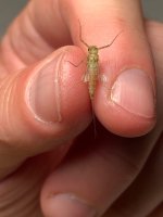 IMG_1977.jpeg