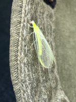 IMG_2003.jpeg