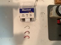 IMG_0166.jpeg