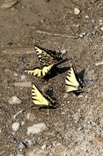 IMG_2058.jpeg