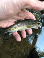 IMG_2182.JPEG