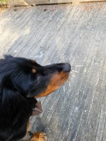 20250420_174548.jpg