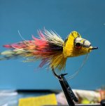 IMG_2711.jpeg
