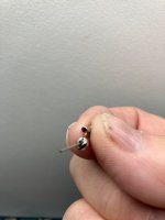 IMG_1876.jpeg