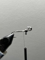 IMG_1874.jpeg