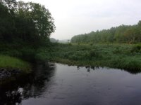 100_4096.JPG