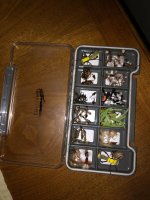 IMG_5940.JPEG