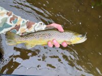 IMG_2102.jpeg