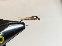 IMG_6526.jpeg