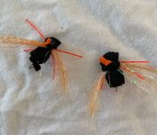 IMG_5484.jpg