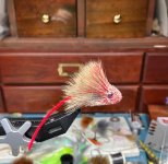 IMG_3022.jpeg