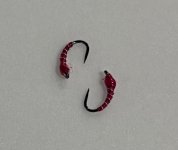 IMG_3034.jpeg