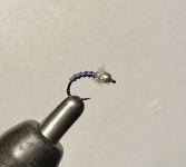 IMG_3035.jpeg
