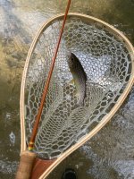 IMG_6119.jpeg