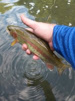 IMG_20250718_184111175.jpg