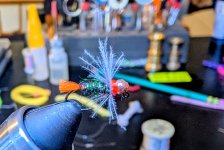 PXL_20250824_121158462~2.jpg