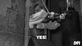 IMG_2435.gif